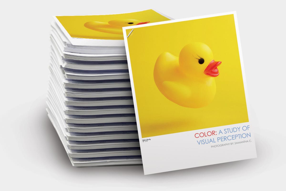 Full Color Printed Flyers / Sales Sheets printed by Quick Reliable Printing (QRP)