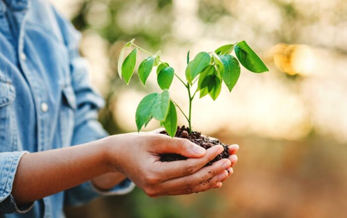 earth day1Quick Reliable Printing (QRP)