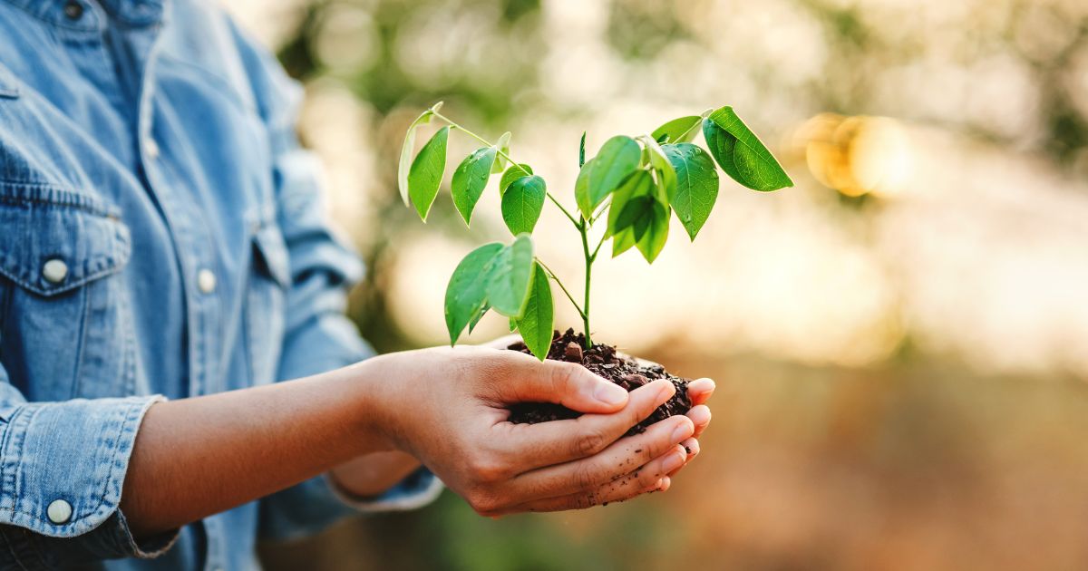 earth day1Quick Reliable Printing (QRP)